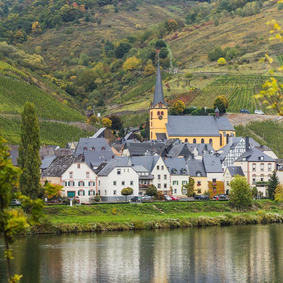 Ferienwohnung Haus Steffen ツェルティンゲン・ラハティグ エクステリア 写真